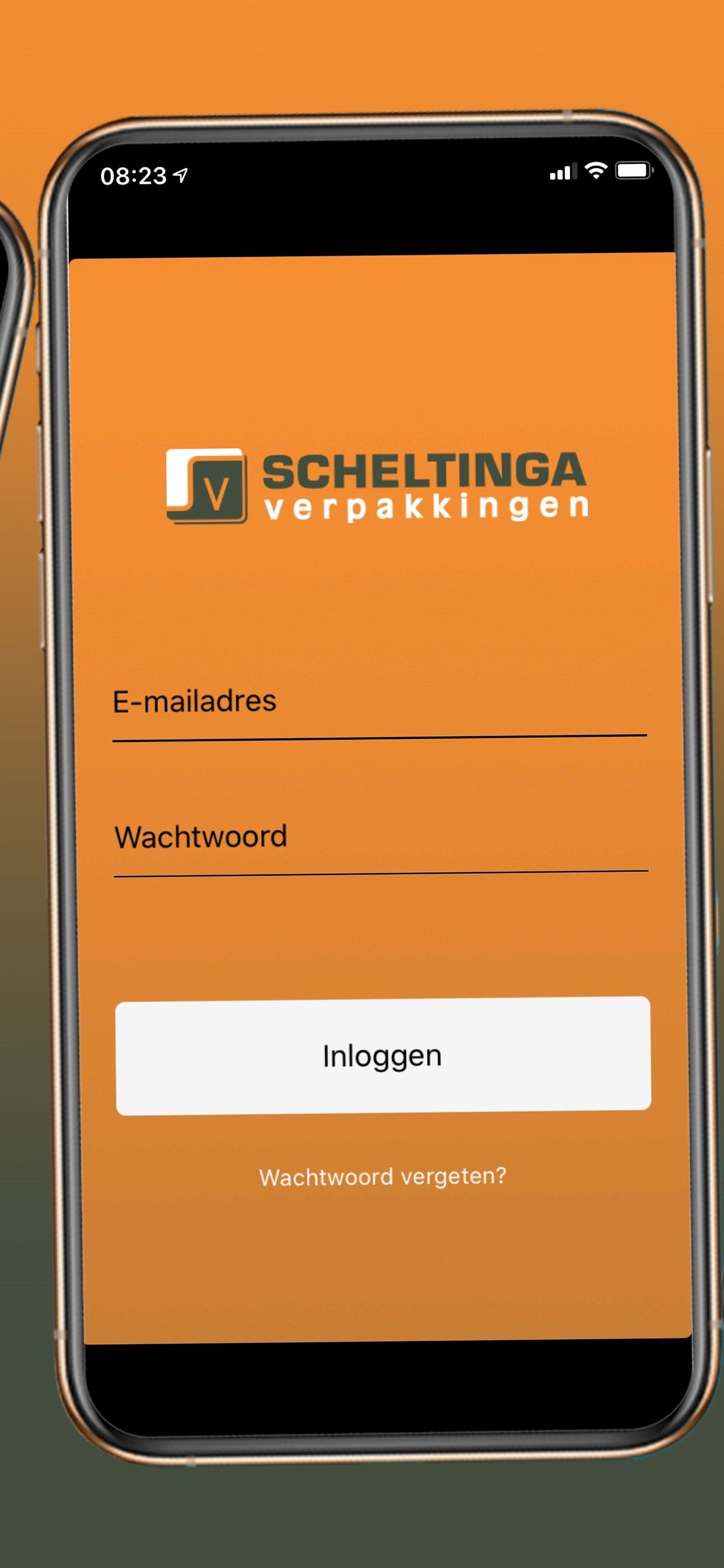 Scheltinga screenshot 2