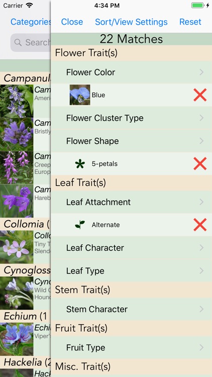 Minnesota Wildflowers Info.