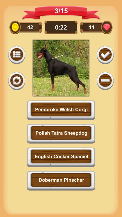 Dogs - Quiz
