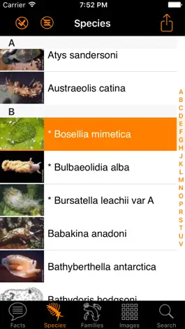 Game screenshot Nudibranch ID Western Atlantic hack