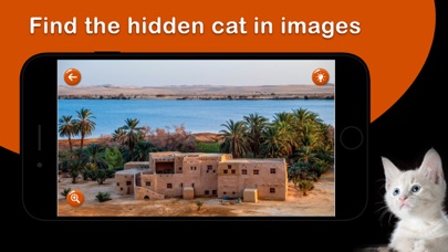 Find a Cat! screenshot 1