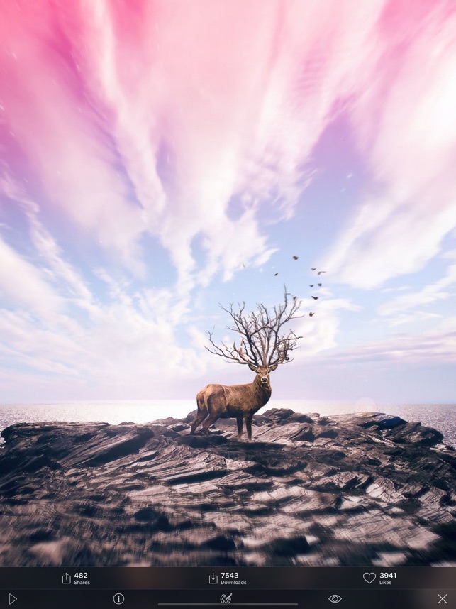 Kappboom ライブ壁紙 をapp Storeで