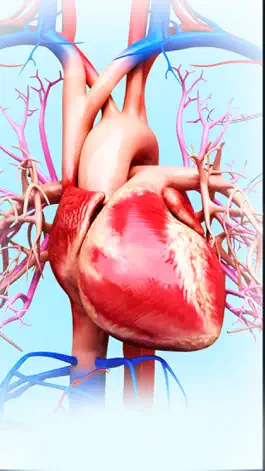 Game screenshot My Circulatory System Anatomy mod apk