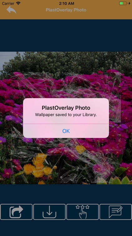 PlastOverlay Photo screenshot-8