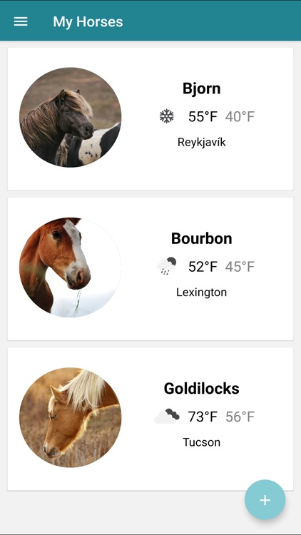 Pocket Pony Blanket Alerts