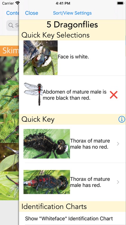 Dragonflies of the North Woods