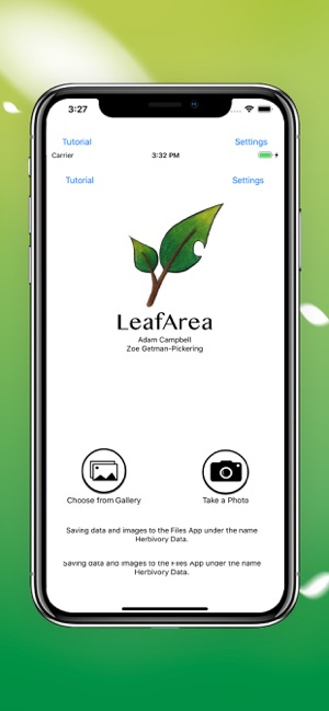 Leaf Area