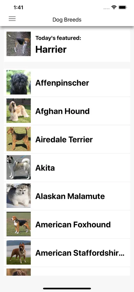 Dog Breeds HD Wallpapers