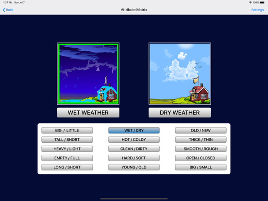 Attribute Matrix iPad screenshot