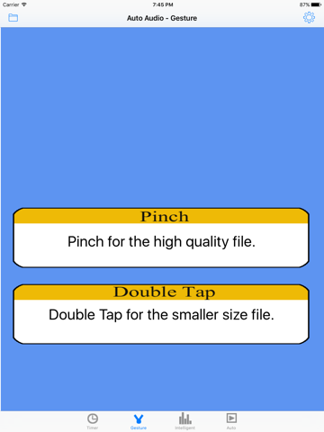 Auto Audio - náhled