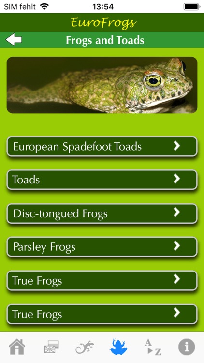 EuroFrogs screenshot-5