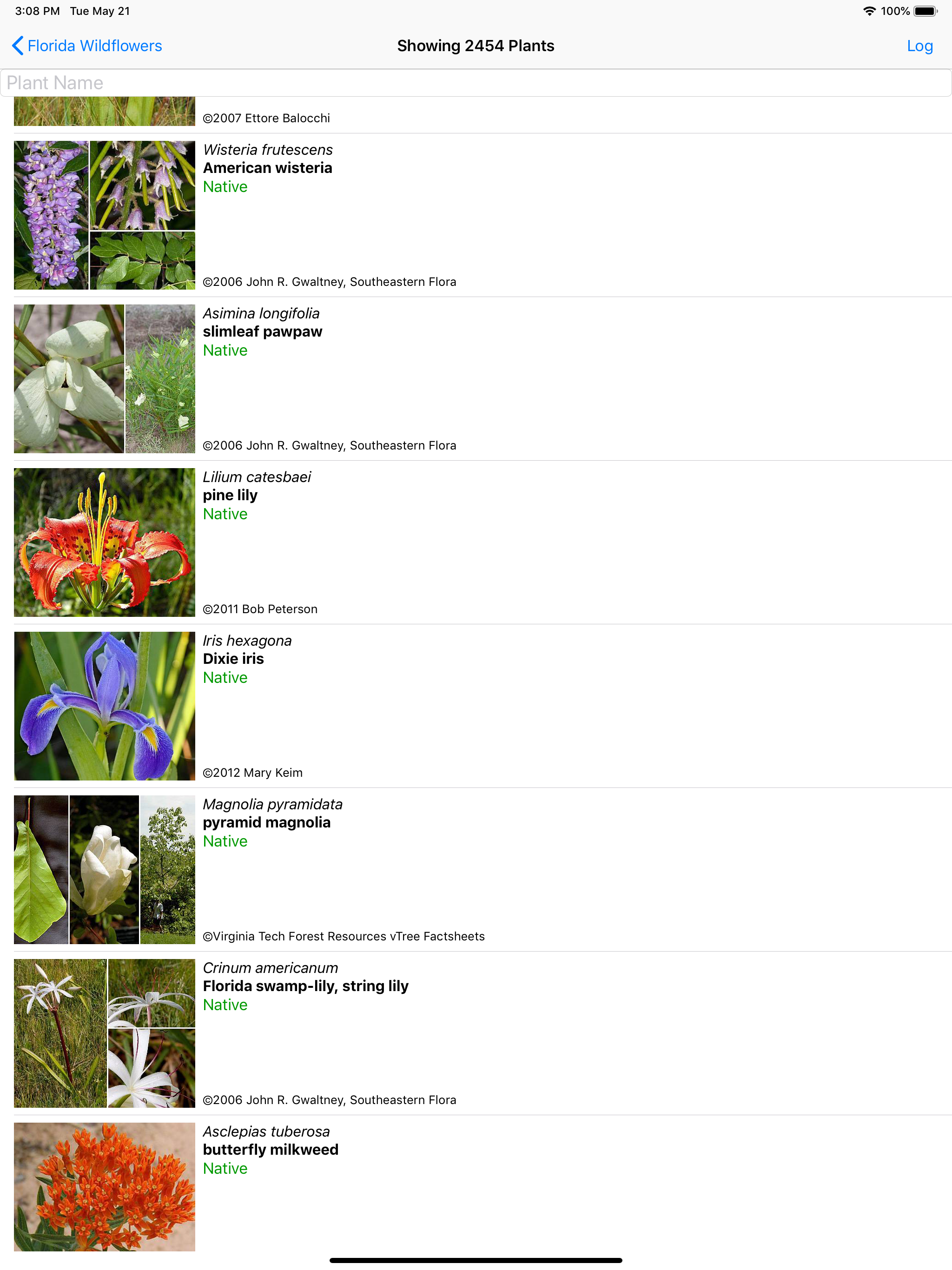 Florida Wildflowers