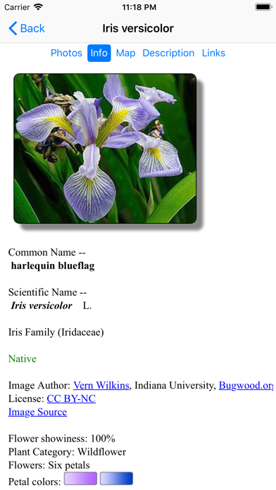 New England Wildflowers Screenshot