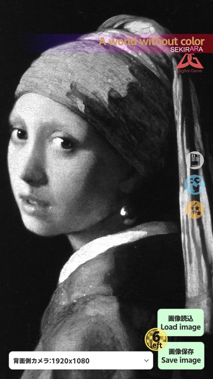 SEKIRARA Peek into the colors!