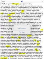 ny domestic relations law 2025 ipad images 4