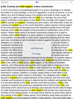 NY Domestic Relations Law 2026 iPad image 4