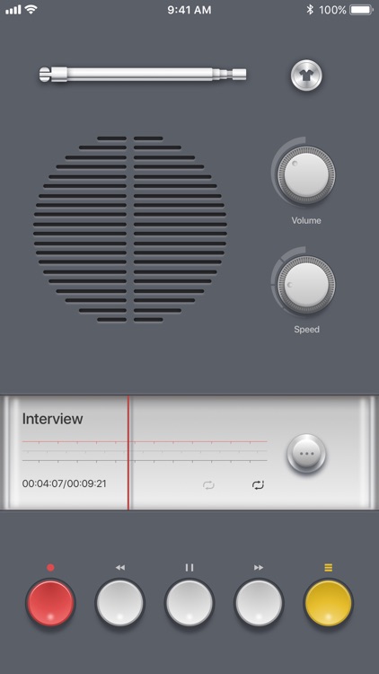 Voice Recorder PRO, Recording