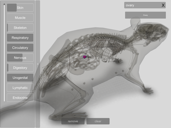 3D Rat Anatomy iPad screenshot