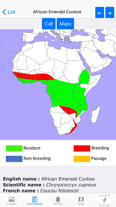 Birds of Africa Screenshot