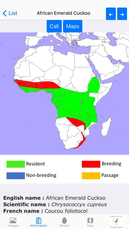 Birds of Africa screenshot-4