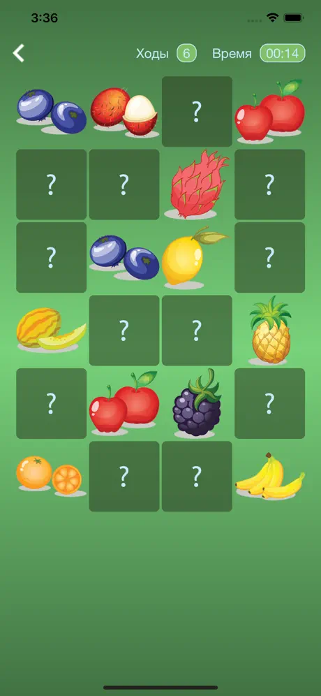 Fruit and Match