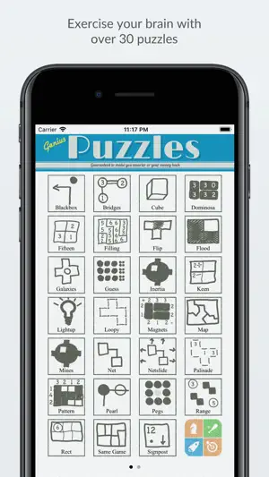 Genius Puzzles screenshot 1