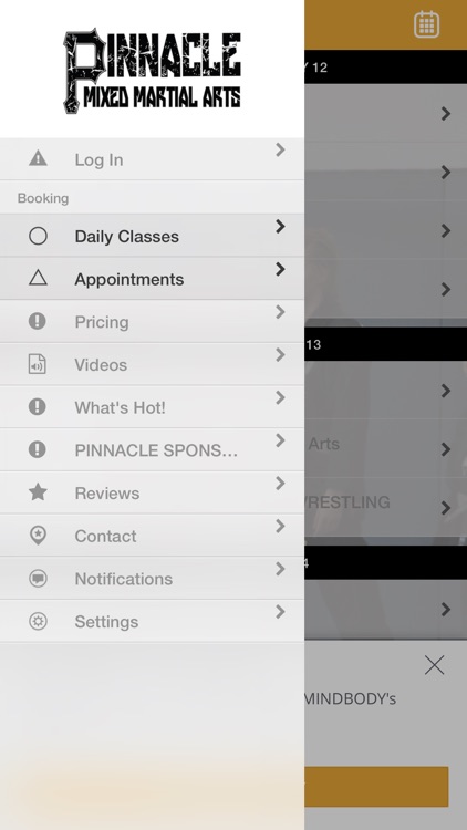 PINNACLE MIXED MARTIAL ARTS