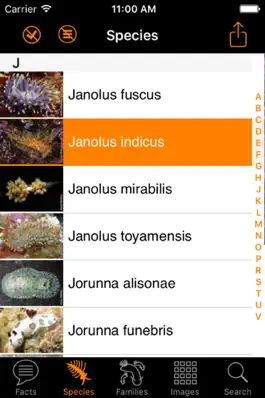 Game screenshot Nudibranch ID Western Pacific hack