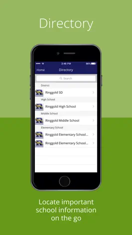 Game screenshot Ringgold School District hack