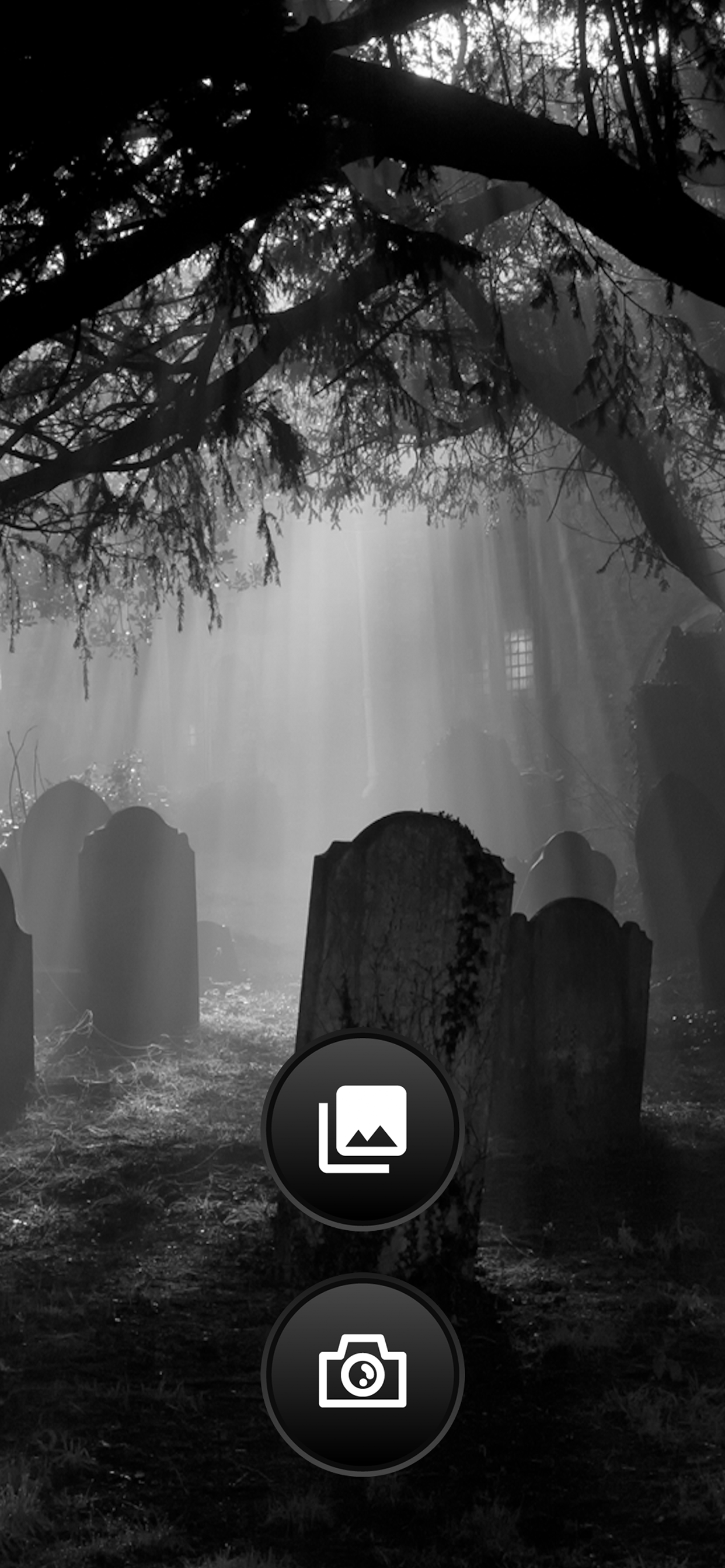 Zombie Camera!