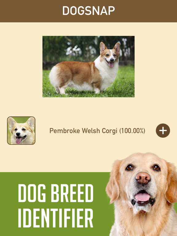 dog breed id app
