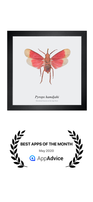 ‎Insecta - Study Insects in AR Screenshot