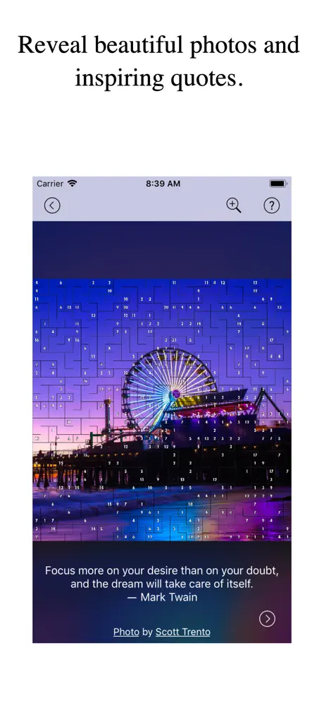 -Pixel Puzzles-