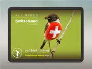 all birds ch - photo guide ipad images 1