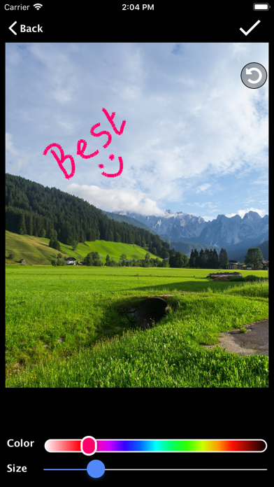 Screenshot #2 pour FaceZoom Photo Edit & Draw