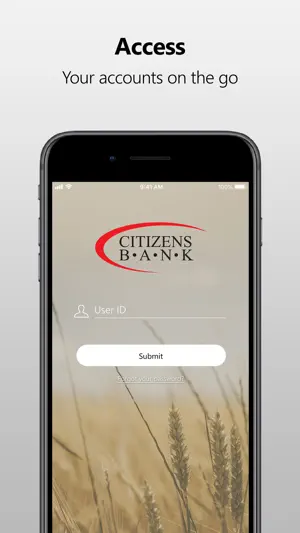 Citizens Bank of Amsterdam screenshot 1
