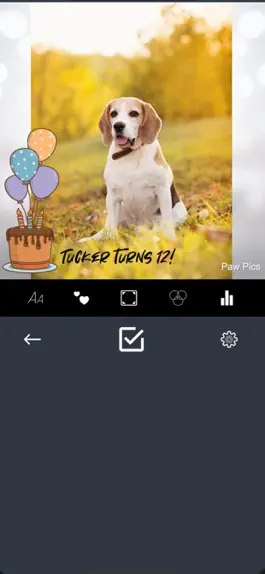 Game screenshot Paw Pics hack