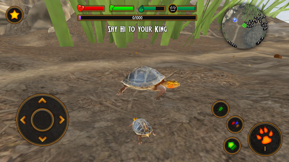 #3. Box Turtle Simulator (iOS) Ved: Boris Tsarkov