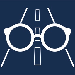 Vision & Road Safety Simulator