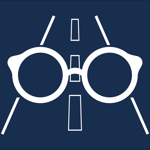 Vision & Road Safety Simulator