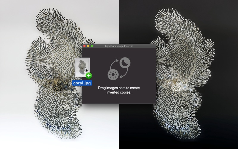 Screenshot #2 pour LightDark Image Inverter