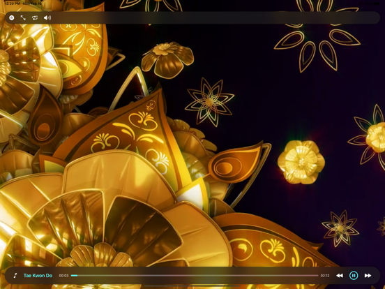 Screenshot #5 pour Musique Orientale: Expérience