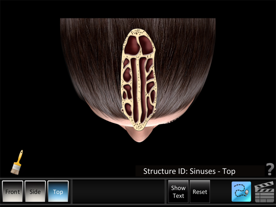 Screenshot #6 pour Sinus ID