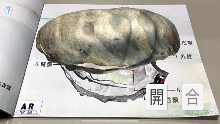 AR牡蠣繪本