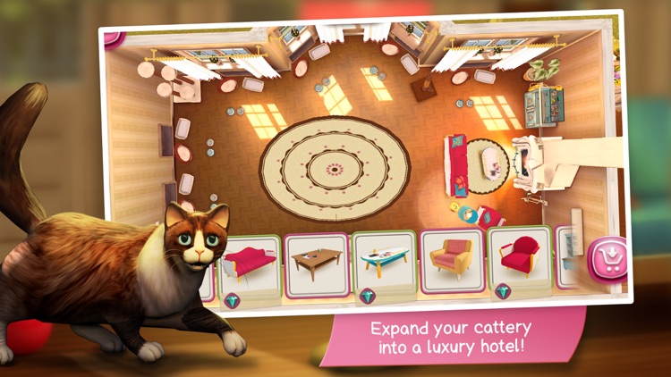 CatHotel - Care for cute cats screenshot-3