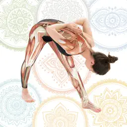 Anatomy & Yoga AR app icon