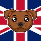 Top 18 Entertainment Apps Like Staffordshire Bull Terrier - Best Alternatives