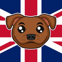 Staffordshire Bull Terrier pour PC