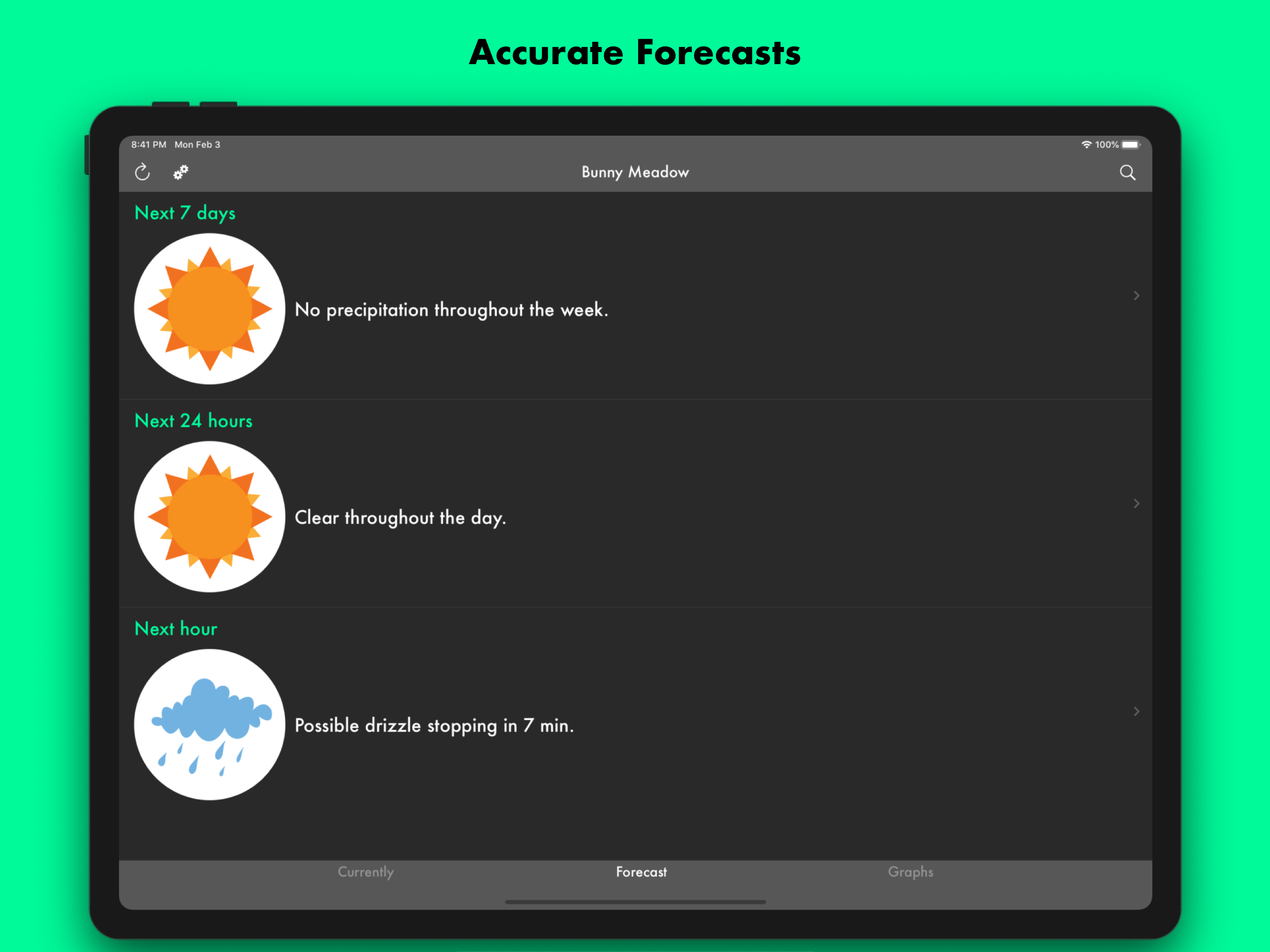 Weather Bunny