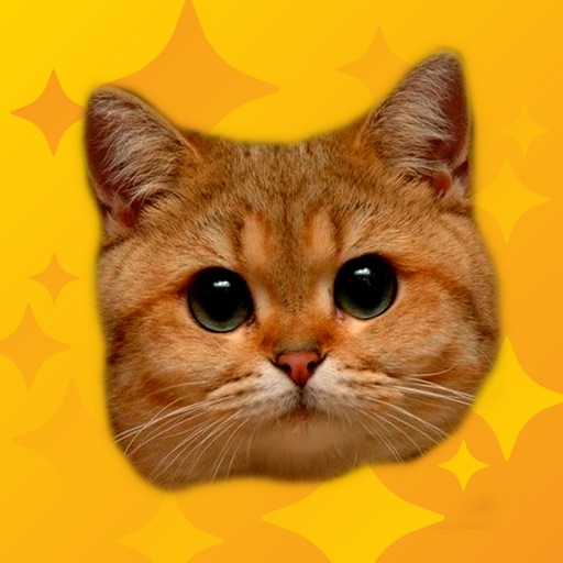 Meow Pro - Cat Sounds icon